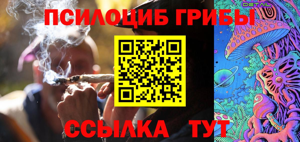 Псилоцибиновые грибы Psilocybe  где найти   Димитровград  Вход с VPN 
