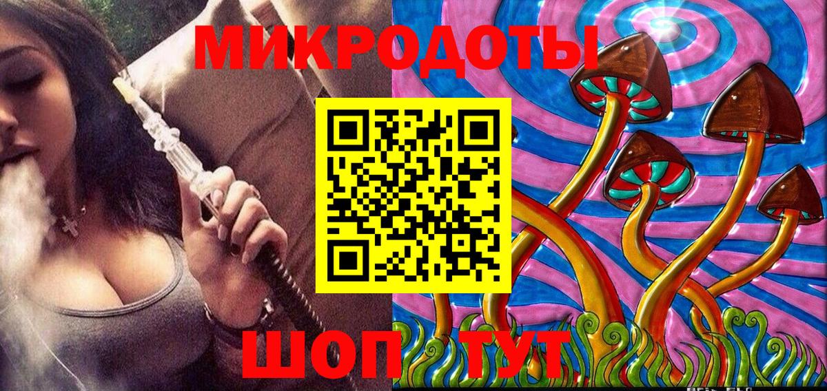 Галлюциногенные грибы Psilocybe Димитровград